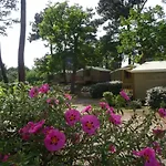 Camping Les Pins De Sel Saint-Augustin (Charente-Maritime)