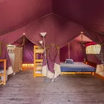 Camping Les Pins De Sel