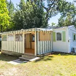 Les Pins De Sel Camping *