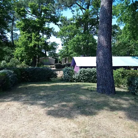 Les Pins De Sel * Saint-Augustin (Charente-Maritime)