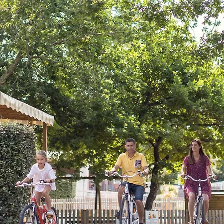 Les Pins De Sel Saint-Augustin (Charente-Maritime)