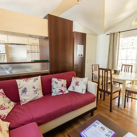 Les Pins De Sel Saint-Augustin (Charente-Maritime)