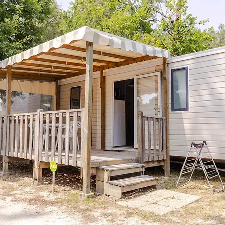 Les Pins De Sel Saint-Augustin (Charente-Maritime)