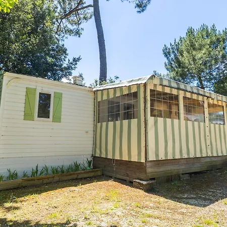 Les Pins De Sel Saint-Augustin (Charente-Maritime)