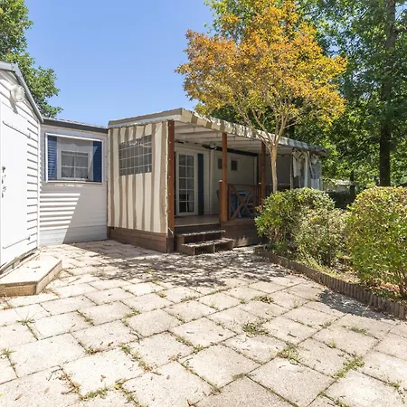 Camping Les Pins De Sel *