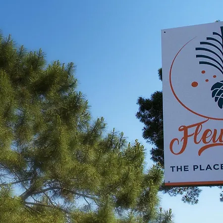 Les Pins De Sel Camping Saint-Augustin (Charente-Maritime)