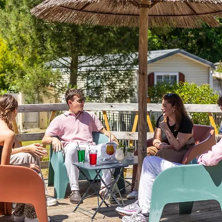 Les Pins De Sel * Saint-Augustin (Charente-Maritime)