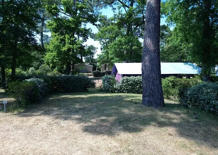 Les Pins De Sel * Saint-Augustin (Charente-Maritime)