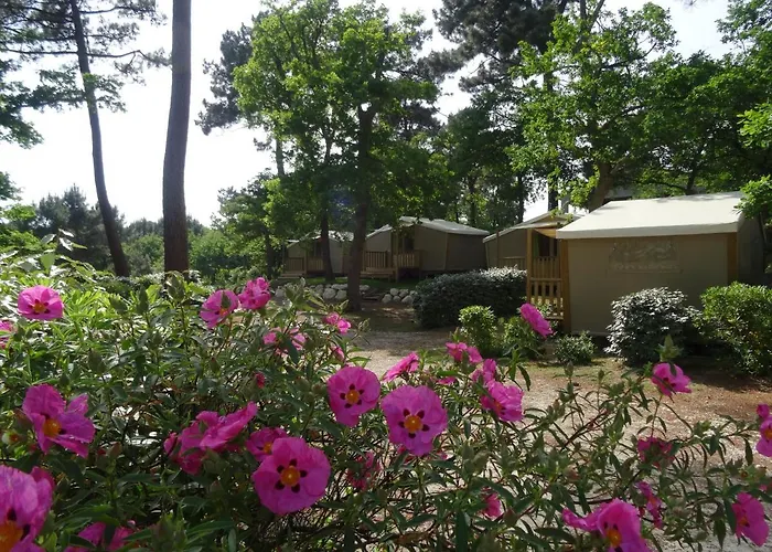 Camping Les Pins De Sel Saint-Augustin (Charente-Maritime)