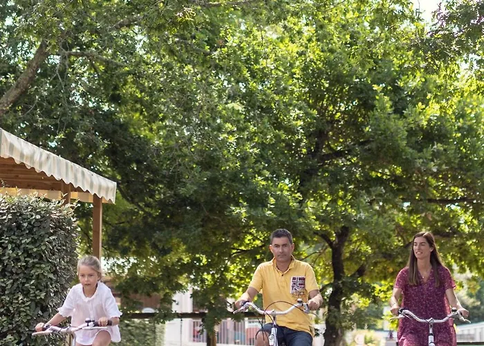 Les Pins De Sel Saint-Augustin (Charente-Maritime)