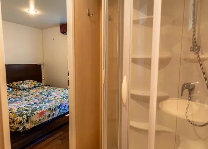 Les Pins De Sel * Saint-Augustin (Charente-Maritime)