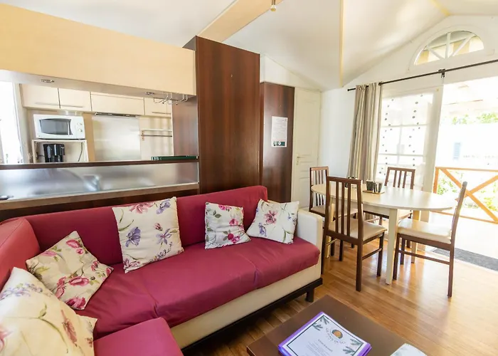 Les Pins De Sel Saint-Augustin (Charente-Maritime)