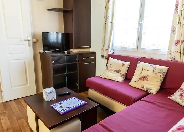 Les Pins De Sel Saint-Augustin (Charente-Maritime)