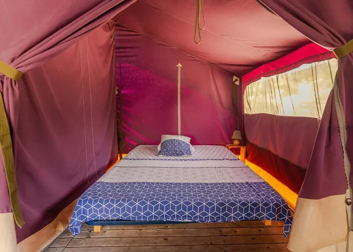 Les Pins De Sel Camping *