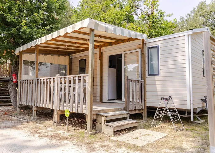 Les Pins De Sel Saint-Augustin (Charente-Maritime)