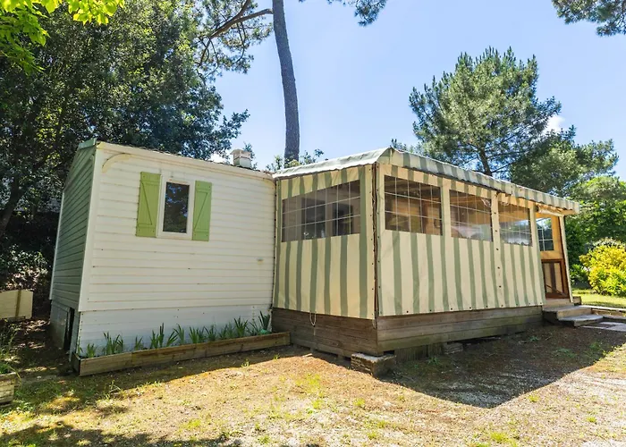 Les Pins De Sel Saint-Augustin (Charente-Maritime)