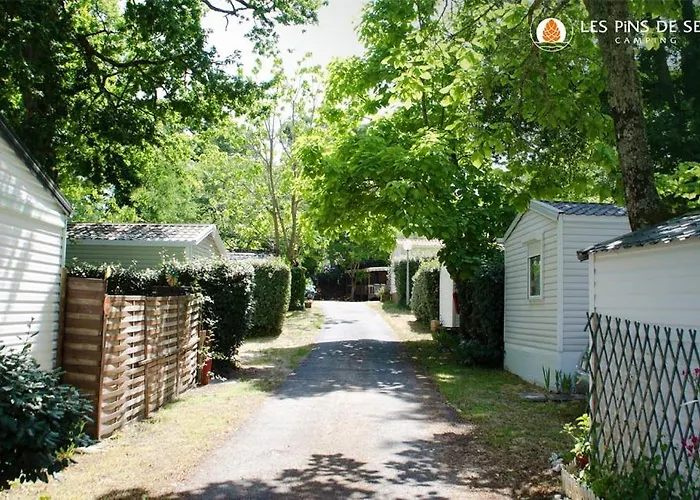 Les Pins De Sel Camping *