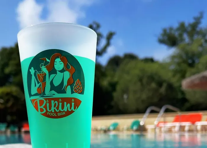 Camping Les Pins De Sel *